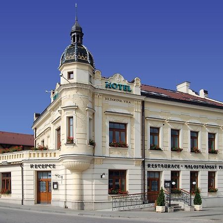 Hotel Jelinkova Vila Велке-Мезиржичи Экстерьер фото
