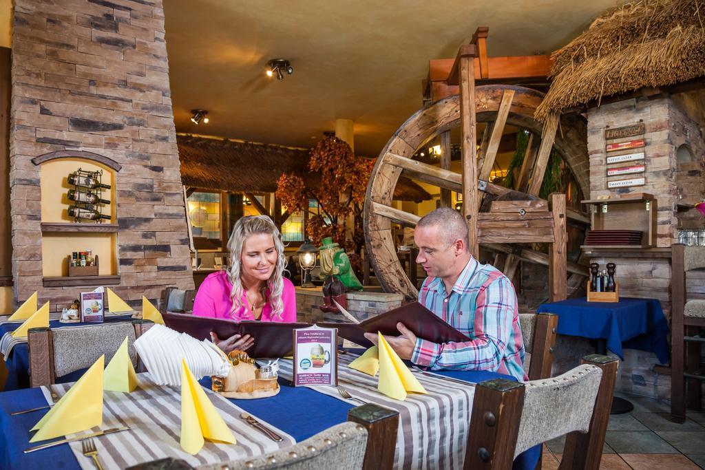 Hotel Jelinkova Vila Велке-Мезиржичи Экстерьер фото